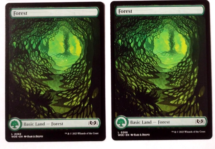 2x Forest (0266) - Wilds of Eldraine (WOE) - EN - L 0266