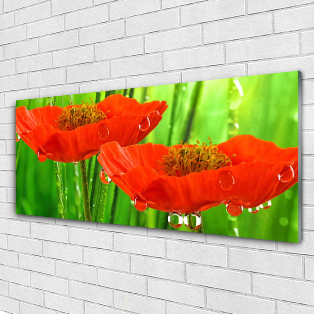 Tableau en verre 125x50 Coquelicots Tulup pour une déco nature dans la cuisine