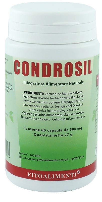 Condrosil 60 Capsule: Benessere Articolare Naturale | Euronatur Group