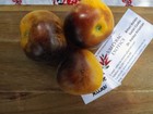 Wooly Kate Yellow Tomate Tomato 5 Samen Saatgut Seeds Gemüsesamen P 196