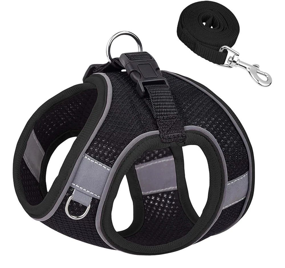 Dog Harness No Pull Puppy Harness and Leash Set Comfort, Safety, and Stylish