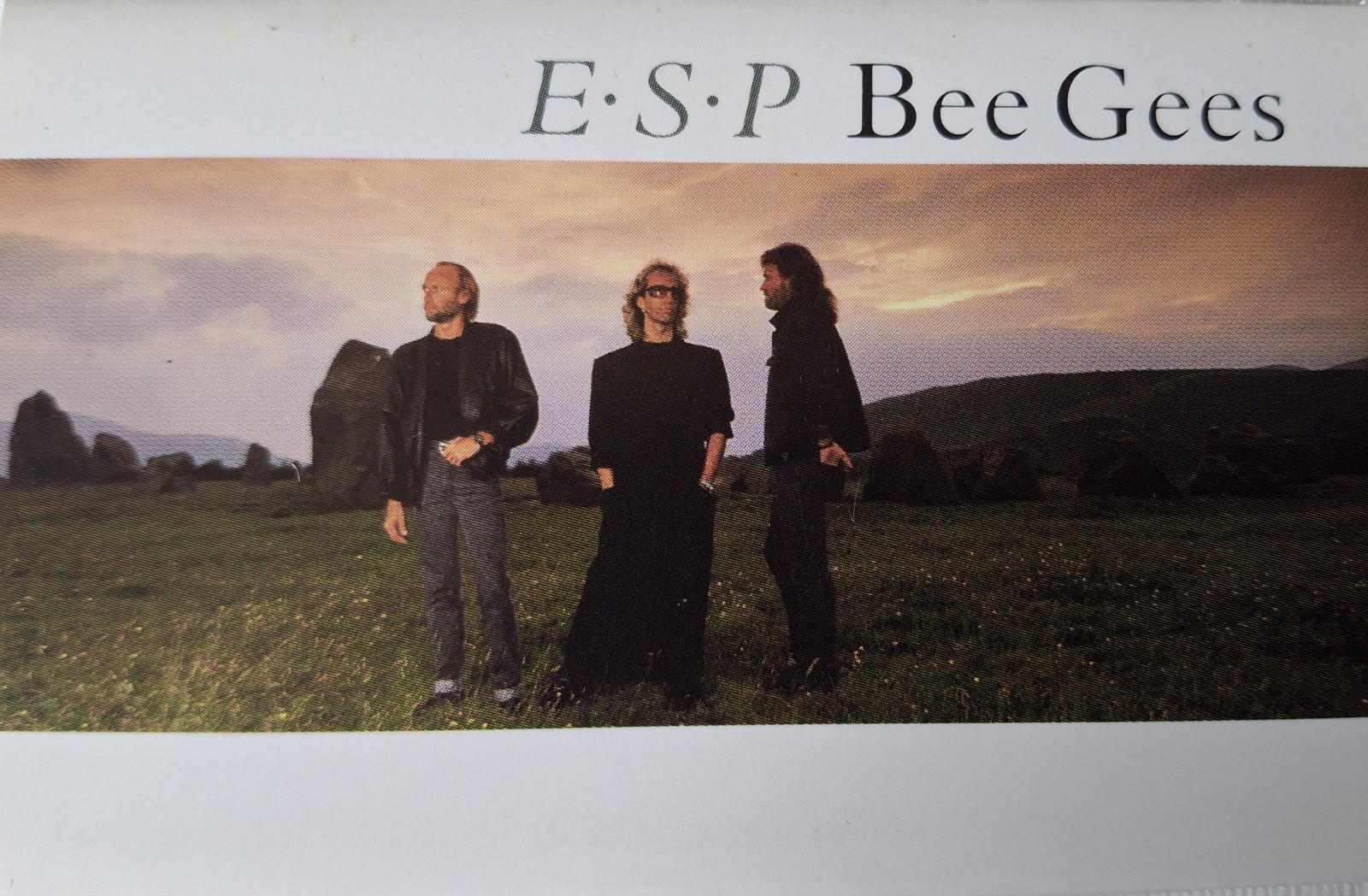 Bee Gees - E.S.P. German Cassette Album 1987 Like New Condition