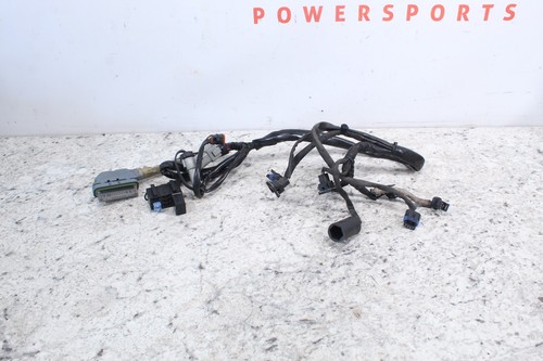 2005 HARLEY-DAVIDSON ROAD KING CLASSIC FLHRCI Injection Wire Harness 70233-04A
