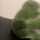 Foto 5 di 10