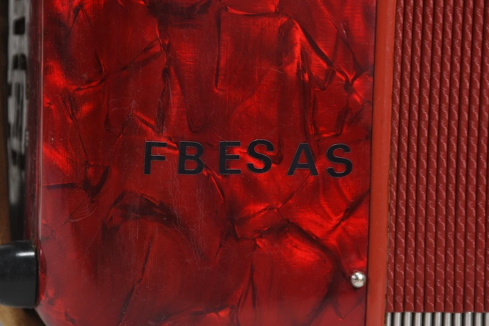 N95S01- Georg Öllerer acordeón armónica con estuche - Imagen 4 de 4