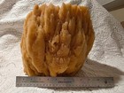 Real Sea Sponge Decorative Vase Coastal Nautical Beach Home Decor Tarpon Springs — photo 8