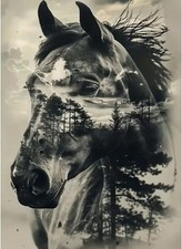 Horse Diamond Art Kits for Adults,Forest Trees Diamond Painting Kits for Adul...
