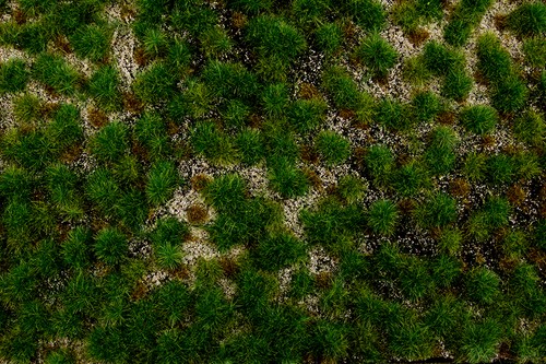 Alfombra de césped acolchada Bachmann 32924 paisajes escénicos 11,75"x7,5" Western Range | Condition: New