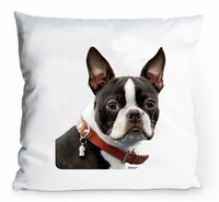 Kissenbezug 40X40Cm -Boston Terrier - Portrait Hund Deko Kissen