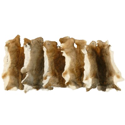 Glacier Wear Rex Rabbit Pelt Hide Fur Castor - rbt1070