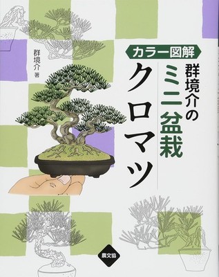 Color Illustration: Kyosuke Gun's Mini Bonsai, Black Pine Page 95 Japanese 2018