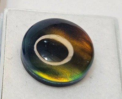 Black Opal Cabochon Round Cut 10-11 Ct Natural EGL Certified Loose Gemstone