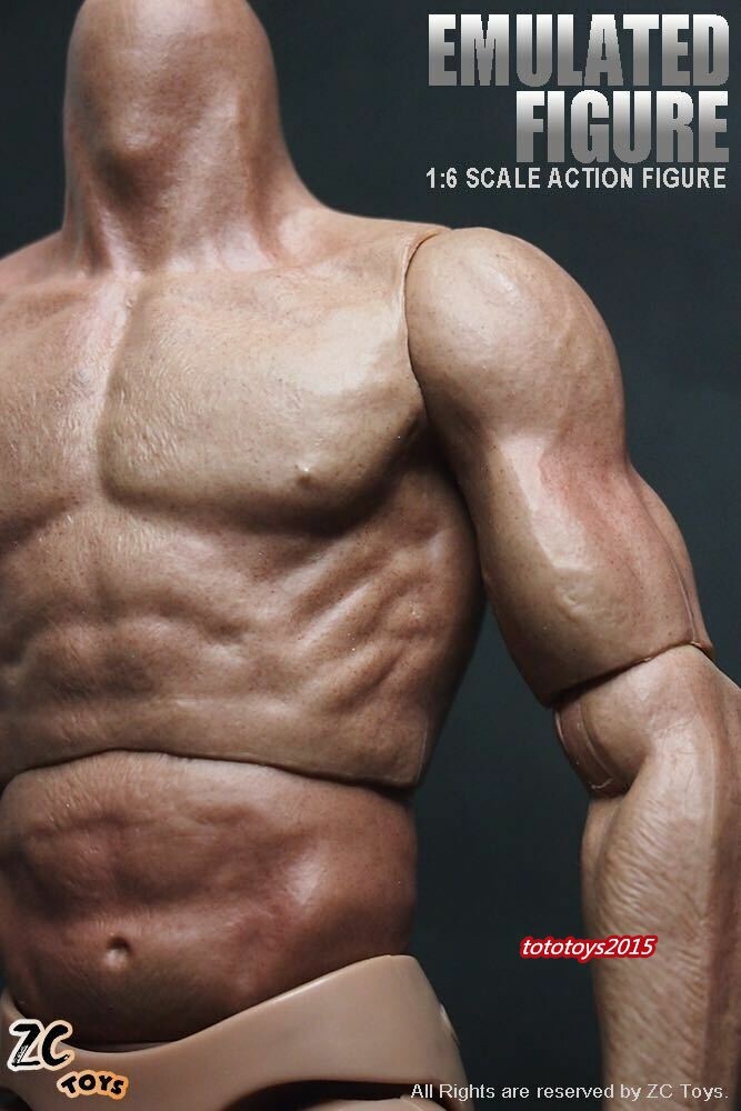 ZC Toys 1/6th Muscular Flexible Male Figure Body Fit 12