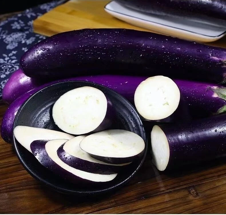 100+ Semillas de berenjenas chinas largas púrpura berenjena vegetal asiático EE. UU. Foto 3 de 3