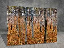 Gustav Klimt Birch Forest I Landscape  CANVAS PAINTING ART PRINT WALL 397