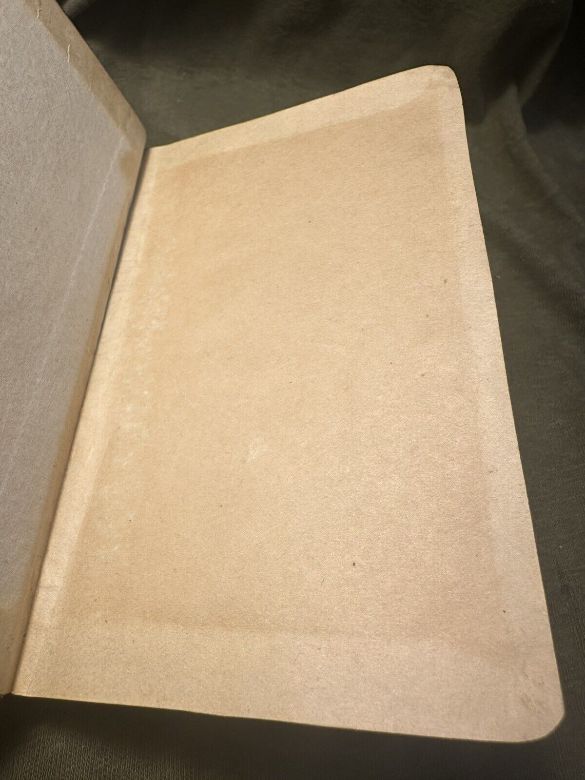 Picture 4 of 18