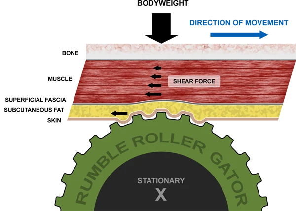 Ролик из пены RumbleRoller Gator - оптимизированный для мышц при поперечном трении спины - Изображение 2 из 4