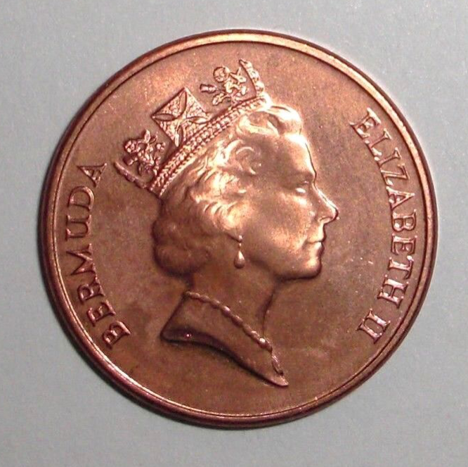 1997 Bermuda 1 cent Coin Wild Boar Pig Hog Animal Wildlife | eBay