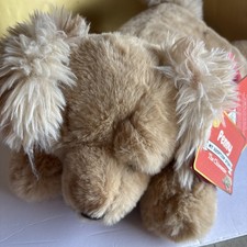 FAO Schwarz Penny the Chiweenie Stuffed Animal Adopt A Pets 15" NEW