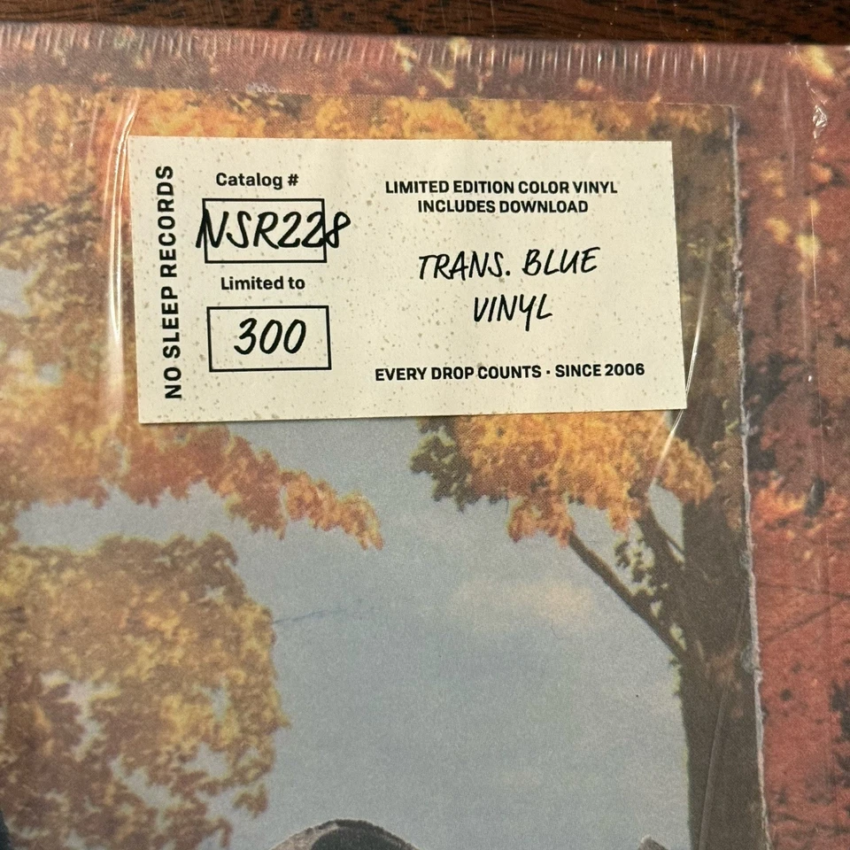 IVY Charmer Ltd Edition 1/300 Trans Blue Vinyl NSR228 Every Drop Counts 2020 Emo - Image 3 of 4