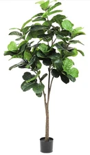Plantolology Fiddle Leaf Fig Tree Ficus Lyrata Artificial Plant for Home Office