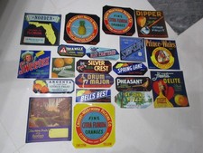 Vintage Lot of 20 Antique FLORIDA Original Orange Citrus Fruit CRATE LABELS