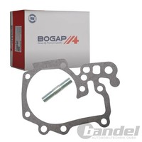 Bogap Wasserpumpe MotorkÜHlung MIT Dichtungen Passend FüR Dacia Logan Sandero