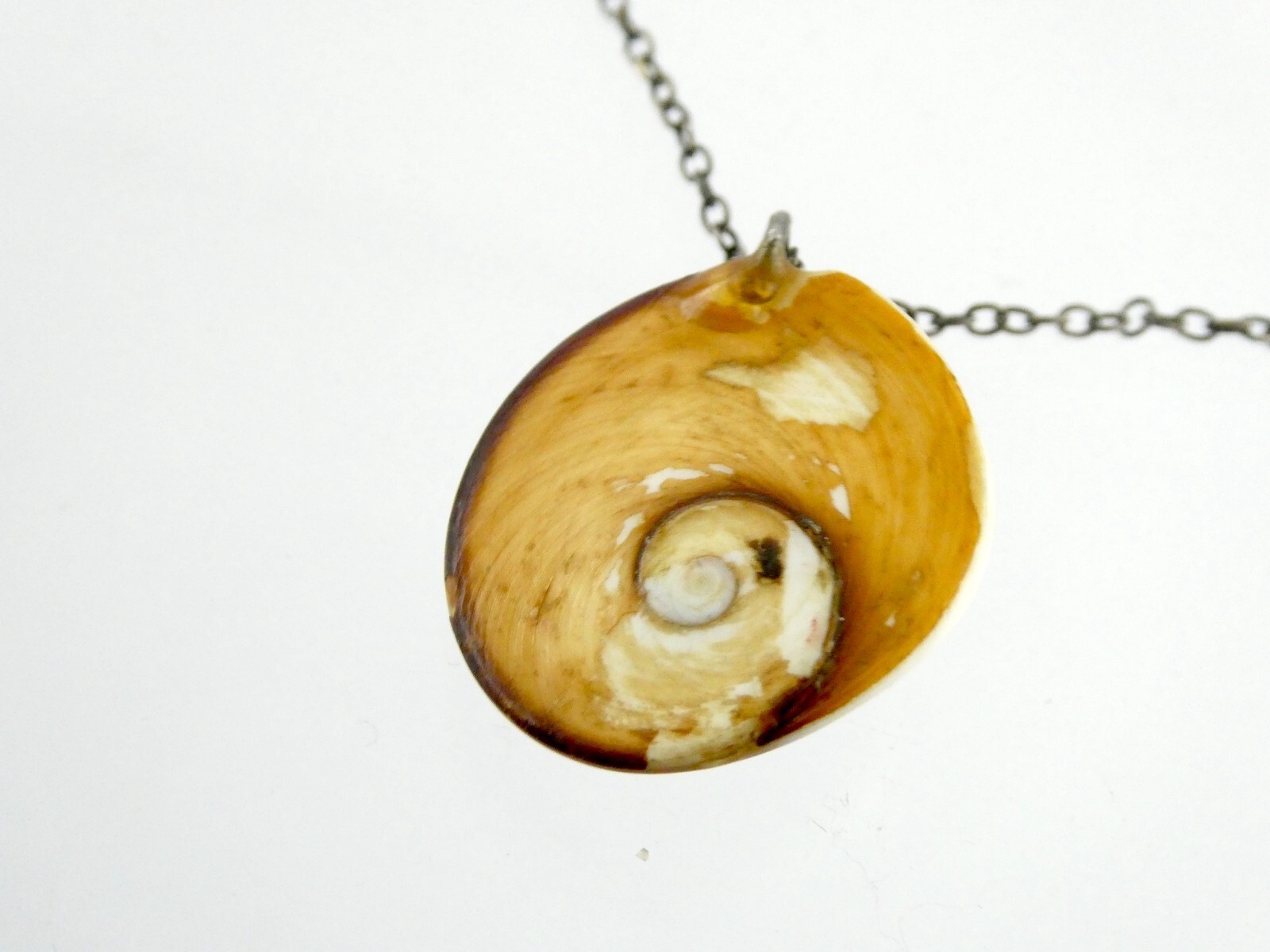 Sterling Silver Snail Shell Operculum Pendant Nec… - image 7
