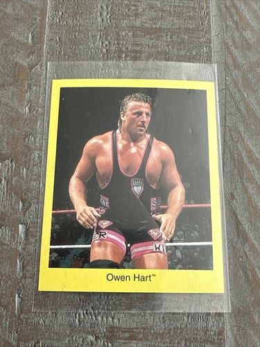 Owen Hart WWF WWE Wrestler Trivia Card 2.5" x 3"