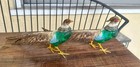 2 Pheasant Bird Figures Germany Heyde 12 Inch Cold Painted Metal 1900 Sculpture — photo 10