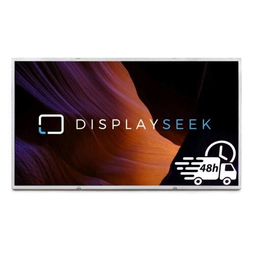 Schermi e pannelli LCD per laptop