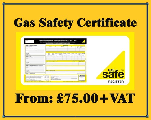 £499 Vaillant Combi Boiler & Flue Installation Labour Only - Picture 6 of 10