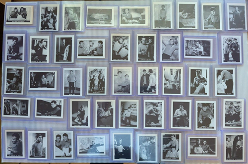 1967 LEAF STAR TREK EUROPEAN REPRINT CARDS PARTIAL SET (54 CARDS) - 第 1/9 張圖片