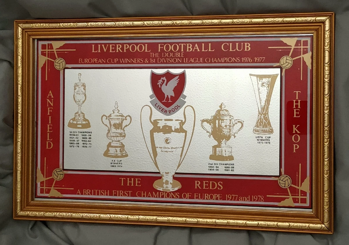 Liverpool cheap fc mirror