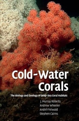 André Freiwald Andrew Wheeler Stephen Cairns Cold-Water Cora (Gebundene Ausgabe)