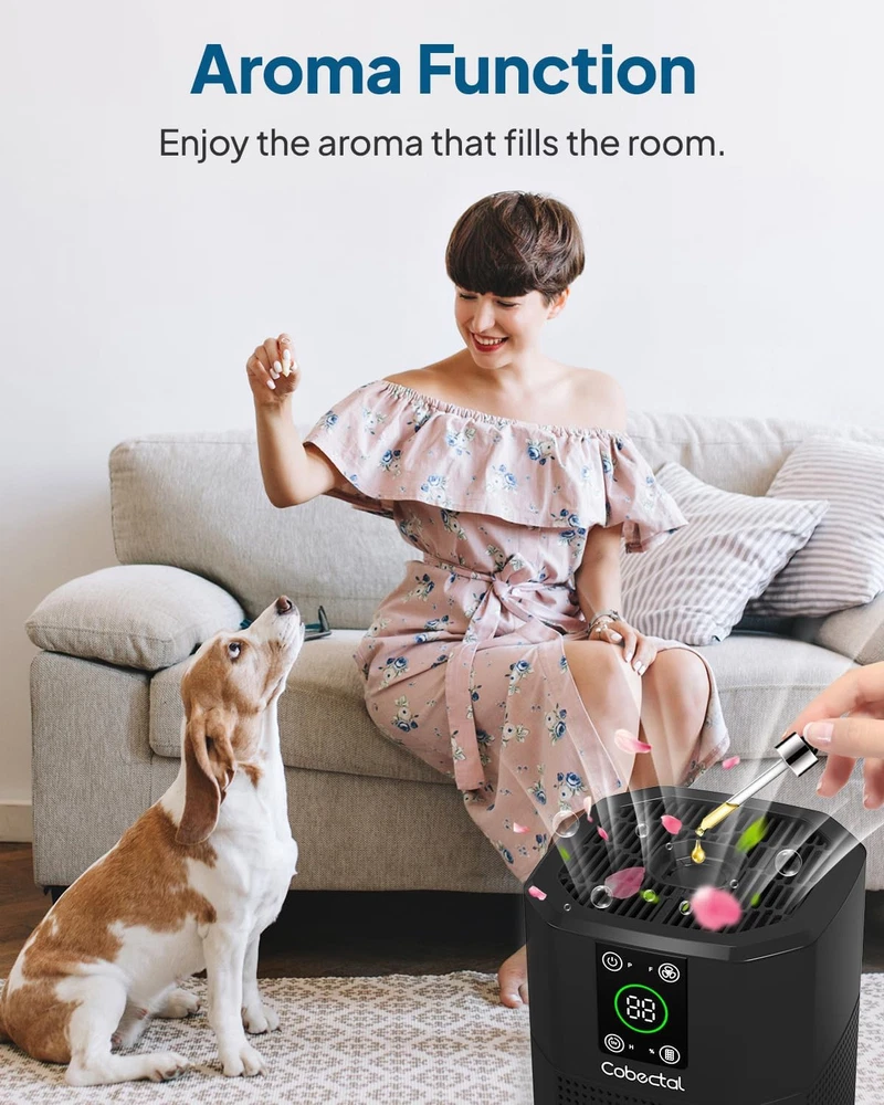 Air Purifier for Home Bedroom, Cobectal Room Black(1 Pack), C-Black
