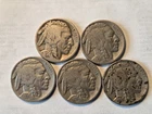 5- 1936   BUFFALO NICKELS , CLEAR DATES    12069