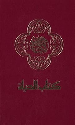 NAV, Arabic Contemporary Bible, Large Print, Hardcover, Blue, Zondervan, Used; V - Picture 1 of 1