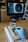 Bild 2 von 8