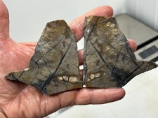 Picasso Marble (Jasper) Slabs Cabbing Lapidary Utah Combo Ship Avail