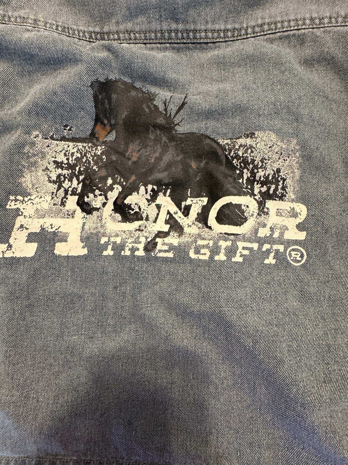 Picture 12 of 12