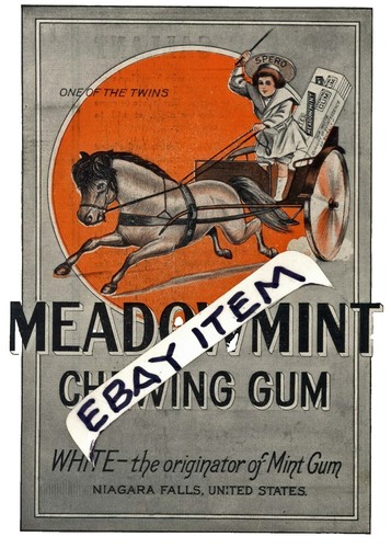 what are the risks of chewing tobacco What Are You Willing To Put Into Your Mouth?