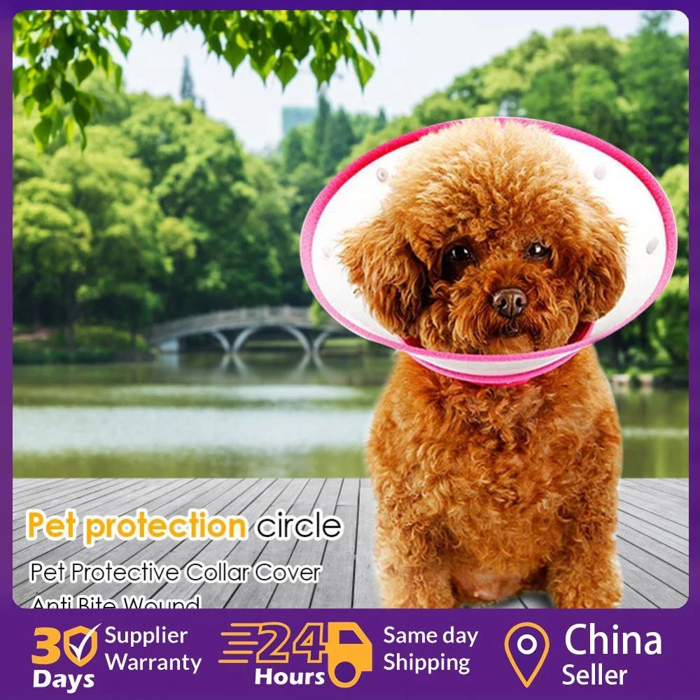 Dog wound cover cheap