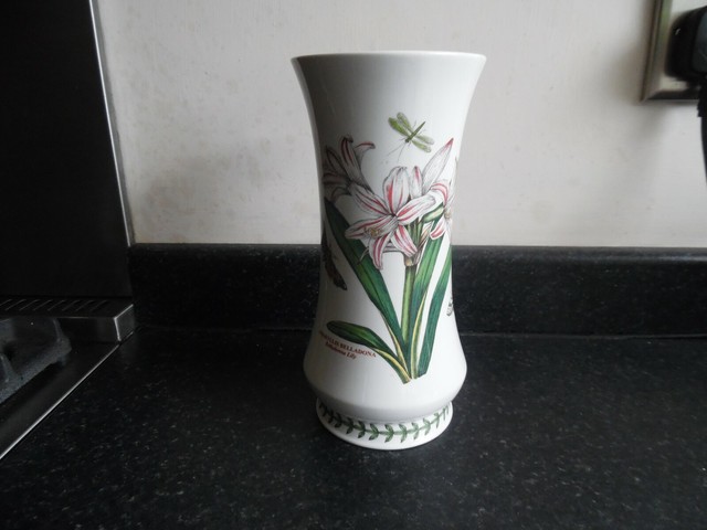 Portmeirion The Botanic Garden Large Amaryllis Belladona 8 5 Tall