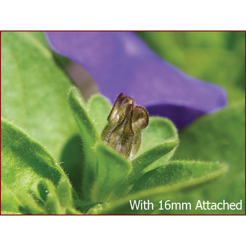 Yasuhara NANOHA Auto Extension 10mm & 16mm Tube Set for Sony NEX Mount 