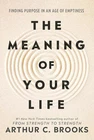 The Meaning of Your Life: Finding Purpose in an Age of Emptiness Paperback