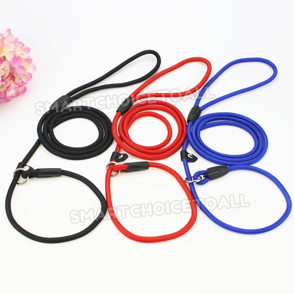 Slip Puppy Lead Nylon Rope Dog Training Correction Leash Pets Cesar Millan AU