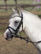 Busse Trense Little Größe Mini-Shetty Farbe  schwarz ,weiß unterlegt