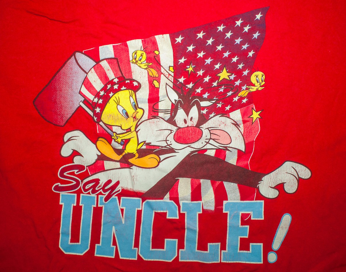 Vtg 90s Tweety Bird T Shirt Looney Tunes Sylvester Cat Freeze Flag