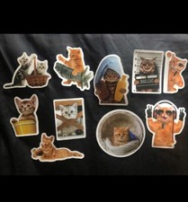 Crazy CAT stickers ScrapBook Craft - set of 60 - Funny kitty Cool Kat cute
